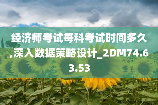 经济师考试每科考试时间多久,深入数据策略设计_2DM74.63.53