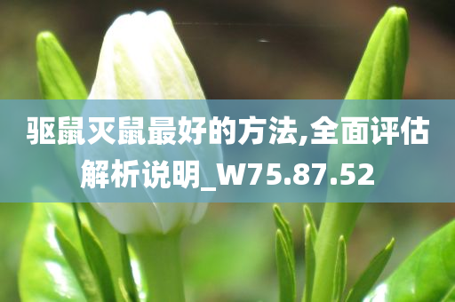 驱鼠灭鼠最好的方法,全面评估解析说明_W75.87.52