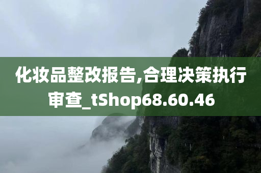 化妆品整改报告,合理决策执行审查_tShop68.60.46