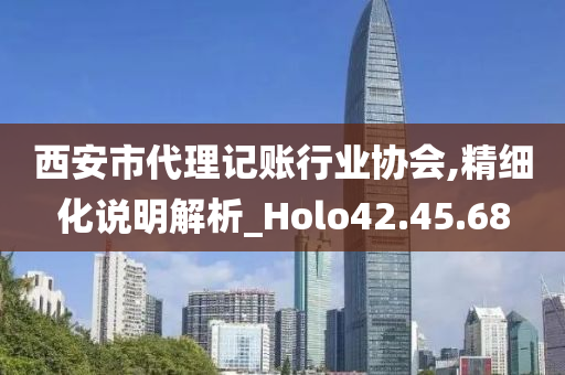 西安市代理记账行业协会,精细化说明解析_Holo42.45.68