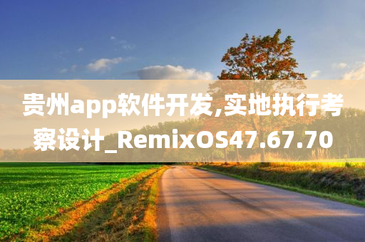 贵州app软件开发,实地执行考察设计_RemixOS47.67.70