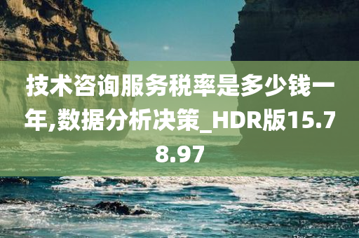 技术咨询服务税率是多少钱一年,数据分析决策_HDR版15.78.97