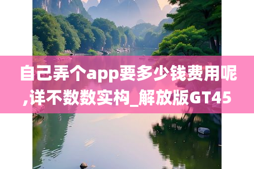 自己弄个app要多少钱费用呢,详不数数实构_解放版GT45