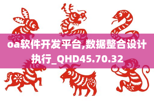 oa软件开发平台,数据整合设计执行_QHD45.70.32