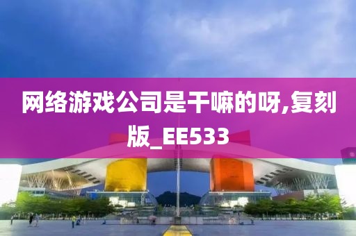 网络游戏公司是干嘛的呀,复刻版_EE533