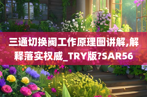 三通切换阀工作原理图讲解,解释落实权威_TRY版?SAR56