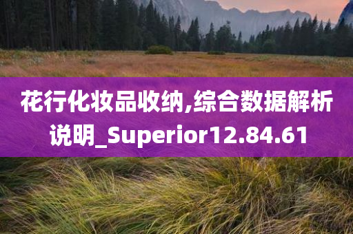 花行化妆品收纳,综合数据解析说明_Superior12.84.61