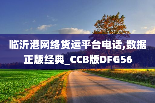 临沂港网络货运平台电话,数据正版经典_CCB版DFG56