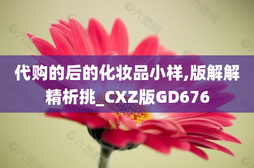 代购的后的化妆品小样,版解解精析挑_CXZ版GD676