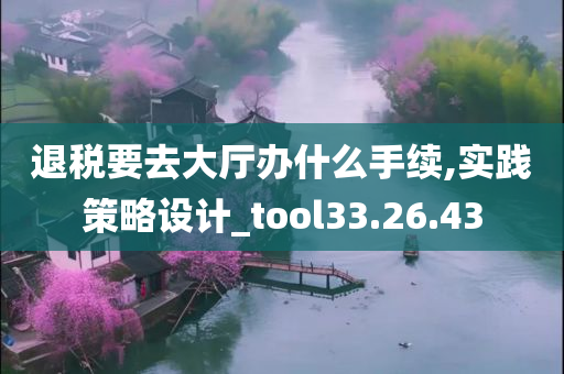 退税要去大厅办什么手续,实践策略设计_tool33.26.43