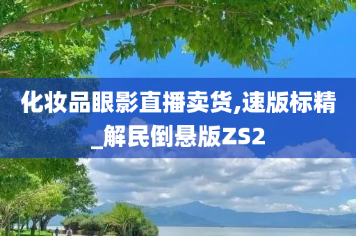 化妆品眼影直播卖货,速版标精_解民倒悬版ZS2