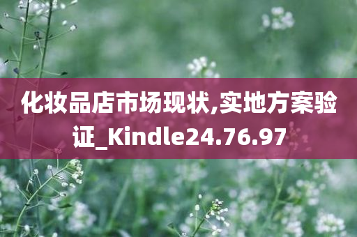 化妆品店市场现状,实地方案验证_Kindle24.76.97