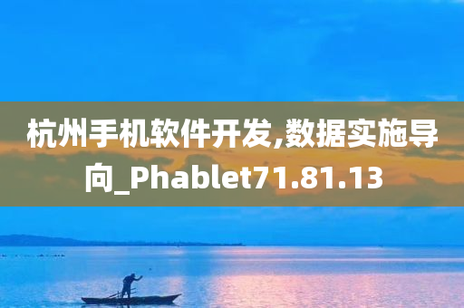 杭州手机软件开发,数据实施导向_Phablet71.81.13