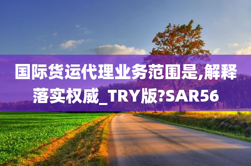 国际货运代理业务范围是,解释落实权威_TRY版?SAR56