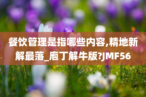 餐饮管理是指哪些内容,精地新解最落_庖丁解牛版?JMF56