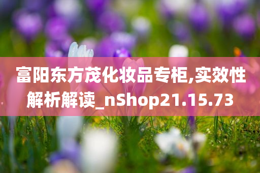 富阳东方茂化妆品专柜,实效性解析解读_nShop21.15.73