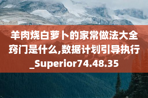 羊肉烧白萝卜的家常做法大全窍门是什么,数据计划引导执行_Superior74.48.35