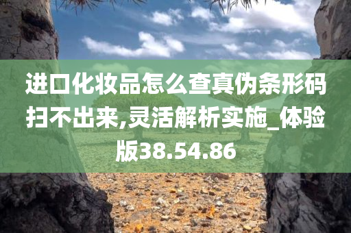 进口化妆品怎么查真伪条形码扫不出来,灵活解析实施_体验版38.54.86