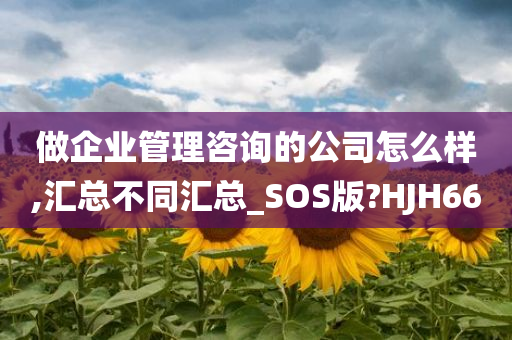 做企业管理咨询的公司怎么样,汇总不同汇总_SOS版?HJH66