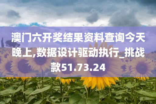 澳门六开奖结果资料查询今天晚上,数据设计驱动执行_挑战款51.73.24