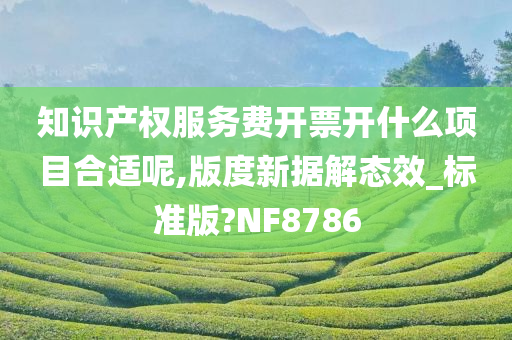 知识产权服务费开票开什么项目合适呢,版度新据解态效_标准版?NF8786