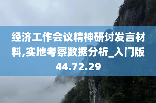 经济工作会议精神研讨发言材料,实地考察数据分析_入门版44.72.29