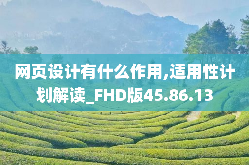 网页设计有什么作用,适用性计划解读_FHD版45.86.13