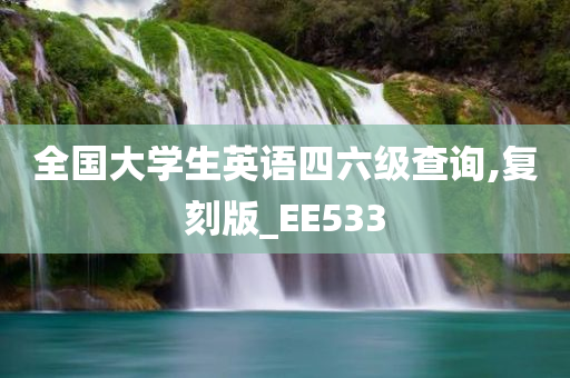 全国大学生英语四六级查询,复刻版_EE533