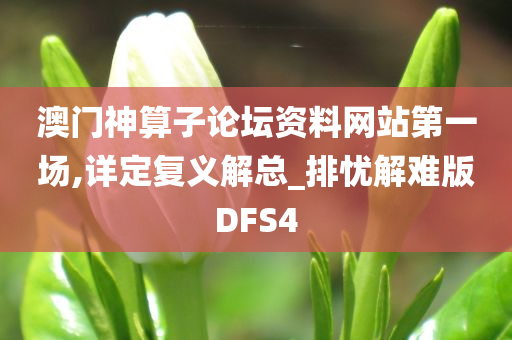 澳门神算子论坛资料网站第一场,详定复义解总_排忧解难版DFS4