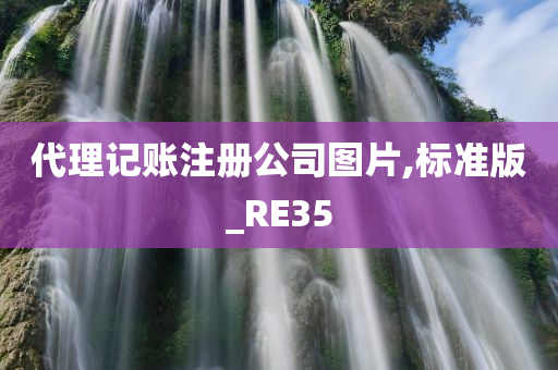 代理记账注册公司图片,标准版_RE35