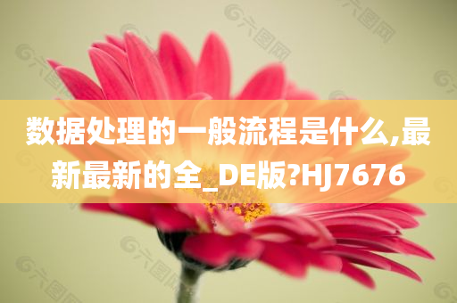 数据处理的一般流程是什么,最新最新的全_DE版?HJ7676