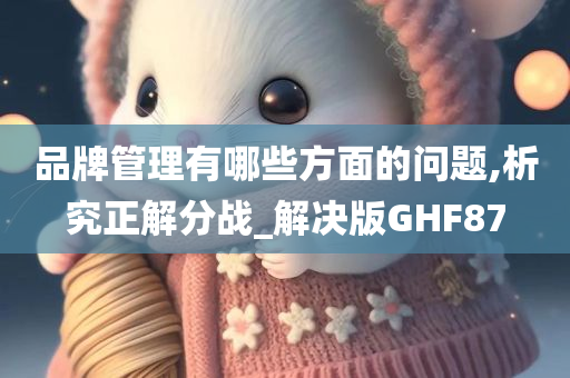 品牌管理有哪些方面的问题,析究正解分战_解决版GHF87