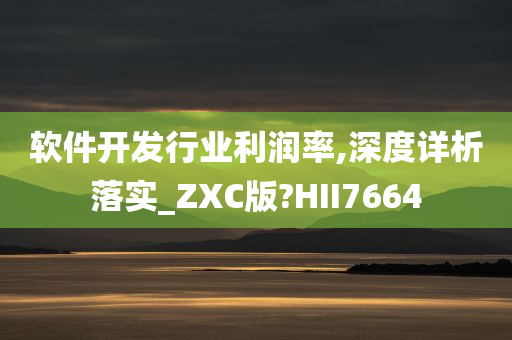 软件开发行业利润率,深度详析落实_ZXC版?HII7664