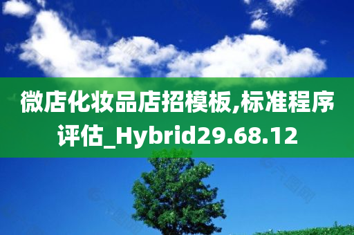 微店化妆品店招模板,标准程序评估_Hybrid29.68.12