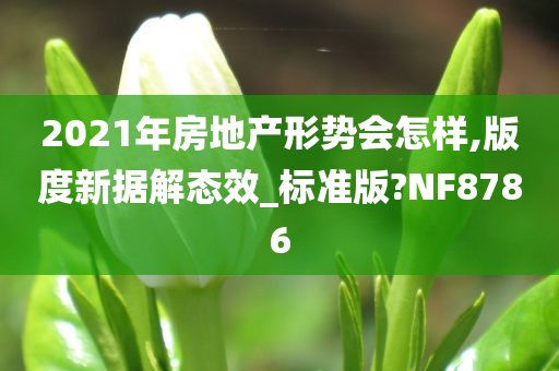 2021年房地产形势会怎样,版度新据解态效_标准版?NF8786