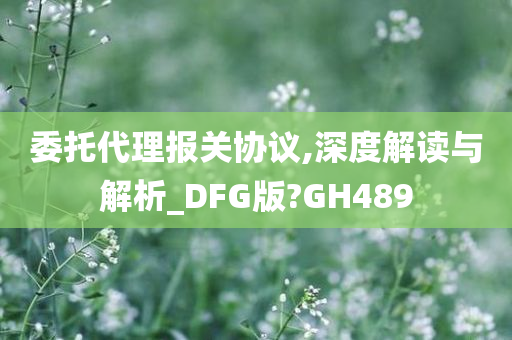 委托代理报关协议,深度解读与解析_DFG版?GH489