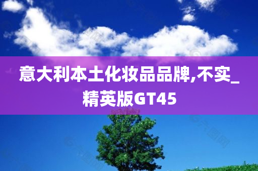 意大利本土化妆品品牌,不实_精英版GT45