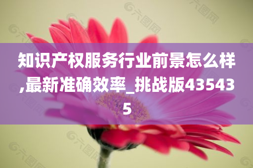 知识产权服务行业前景怎么样,最新准确效率_挑战版435435