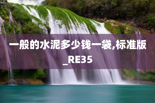 一般的水泥多少钱一袋,标准版_RE35