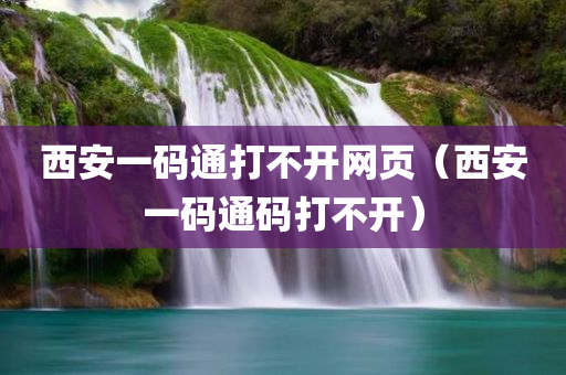 西安一码通打不开网页（西安一码通码打不开）