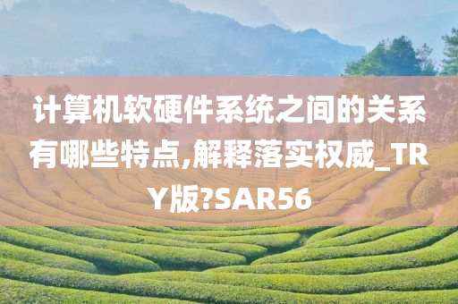 计算机软硬件系统之间的关系有哪些特点,解释落实权威_TRY版?SAR56