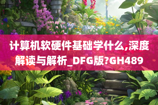 计算机软硬件基础学什么,深度解读与解析_DFG版?GH489