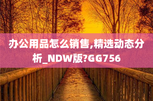 办公用品怎么销售,精选动态分析_NDW版?GG756