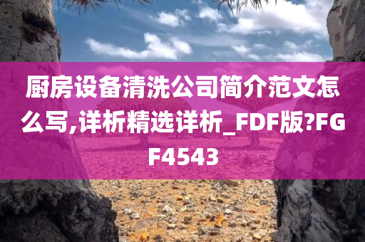 厨房设备清洗公司简介范文怎么写,详析精选详析_FDF版?FGF4543