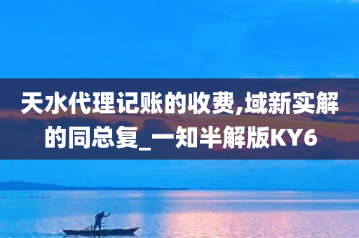 天水代理记账的收费,域新实解的同总复_一知半解版KY6