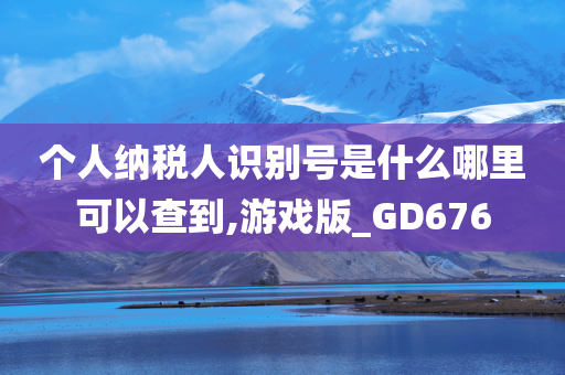 个人纳税人识别号是什么哪里可以查到,游戏版_GD676