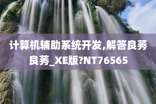 计算机辅助系统开发,解答良莠良莠_XE版?NT76565