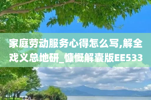 家庭劳动服务心得怎么写,解全戏义总地研_慷慨解囊版EE533