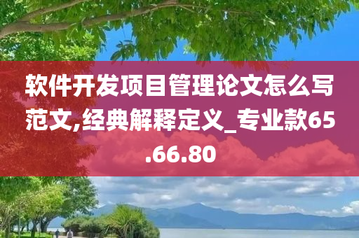 软件开发项目管理论文怎么写范文,经典解释定义_专业款65.66.80