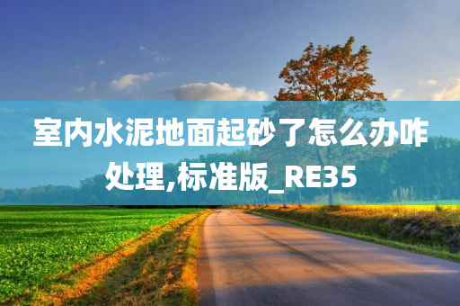 室内水泥地面起砂了怎么办咋处理,标准版_RE35